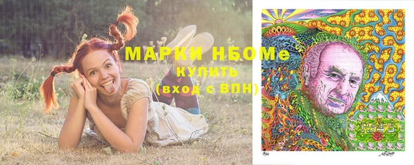 дживик Переславль-Залесский