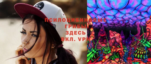 дживик Переславль-Залесский