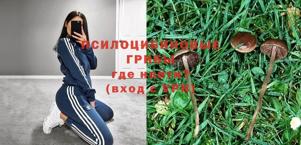 прущая мука Пересвет