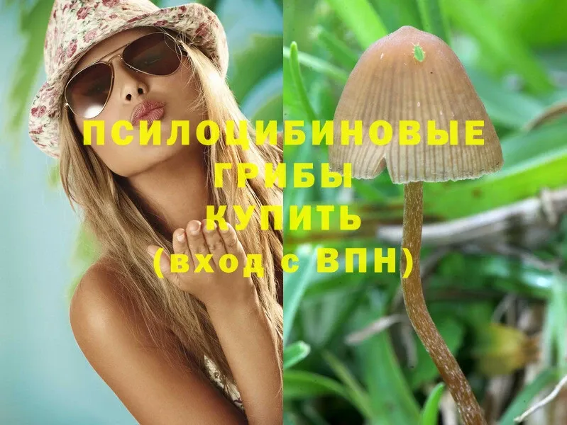 Псилоцибиновые грибы MAGIC MUSHROOMS  OMG онион  Зубцов 