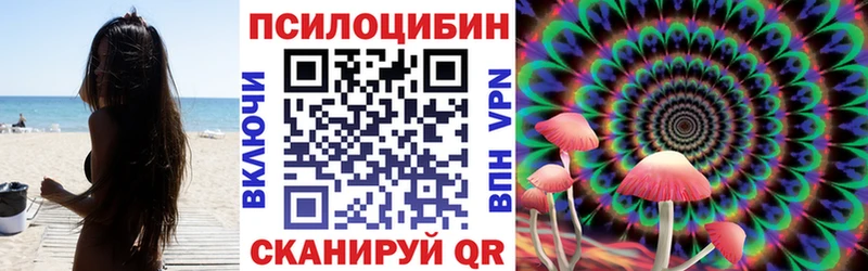 купить наркоту  Зубцов  Псилоцибиновые грибы MAGIC MUSHROOMS 