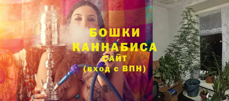 Бошки Шишки OG Kush  Зубцов 